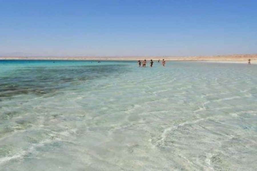 Sharm El luli Full-Day Snorkeling Tour