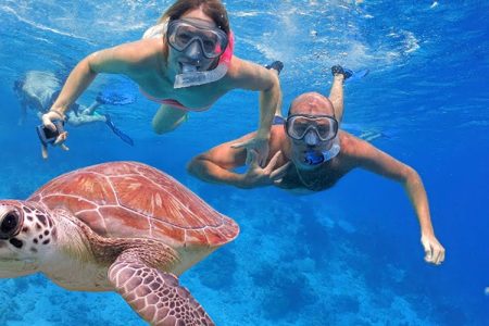 Abu Dabab Snorkeling Tours in Marsa Alam