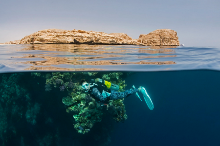 Scuba Diving In Ras Mohammed