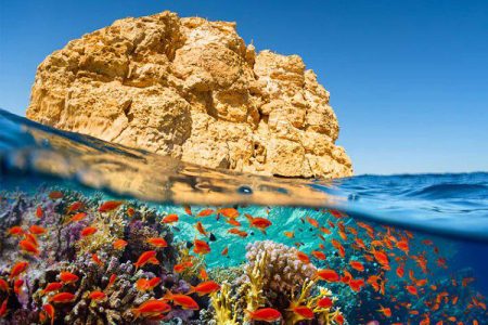 Ras Muhamed And White Island Sea Trip By Boat From Sharm El Sheikh
